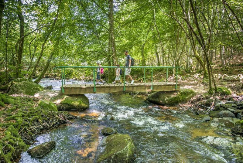 Appartamento Studio En Auvergne Le Ruisseau Saint-Priest-Bramefant Esterno foto