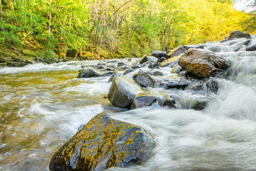 Appartamento Studio En Auvergne Le Ruisseau Saint-Priest-Bramefant Esterno foto