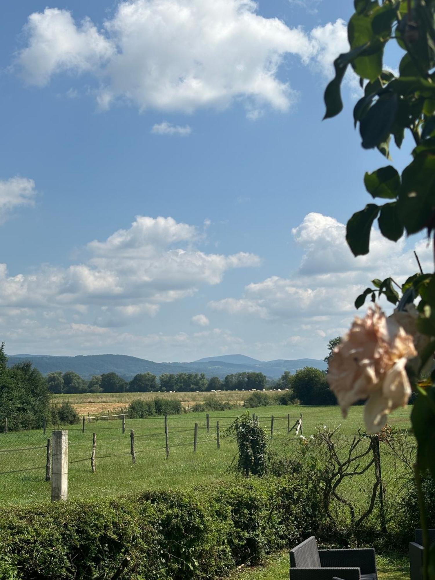 Appartamento Studio En Auvergne Le Ruisseau Saint-Priest-Bramefant Esterno foto